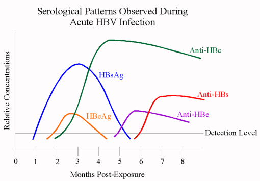 Serological Patterns of Acute HBV Infection